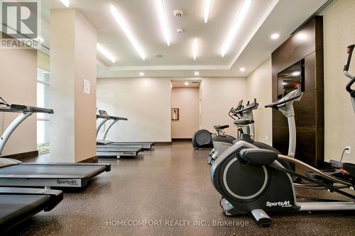 316 - 275 Yorkland Road, Toronto, ON - Indoor Photo Showing Gym Room