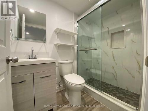 Bsmt - 22 Vandervoort Drive, Richmond Hill, ON - Indoor Photo Showing Bathroom