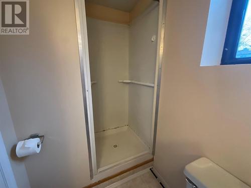 208 Willow Drive, Tumbler Ridge, BC - Indoor Photo Showing Bathroom