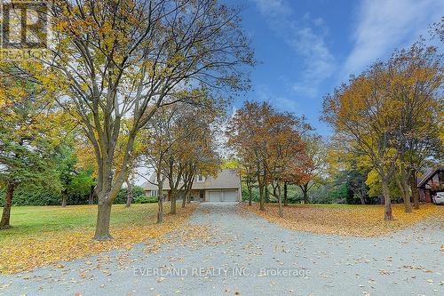 99 Burndean Court, Richmond Hill, ON - Outdoor