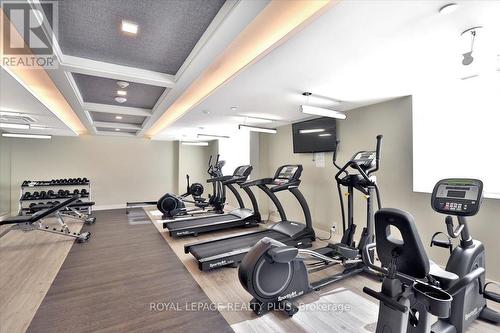 116 - 1575 Lakeshore Road W, Mississauga, ON - Indoor Photo Showing Gym Room