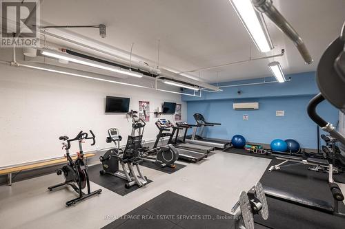 803 - 80 Quebec Avenue, Toronto, ON - Indoor Photo Showing Gym Room