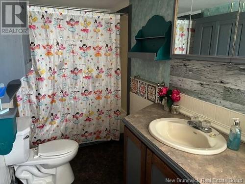 91 Nelson Street, Sussex, NB - Indoor Photo Showing Bathroom