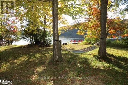 1130 Parsons Road, Dysart Et Al, ON - Outdoor With Body Of Water With View