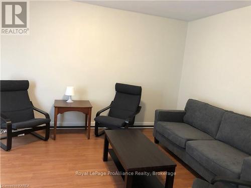 366 Barrie Street, Kingston (East Of Sir John A. Blvd), ON - Indoor Photo Showing Living Room