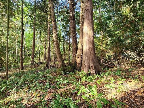 Lot 5 Inverness Rd, North Saanich, BC 