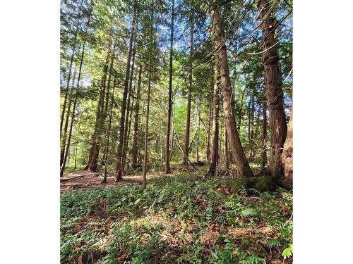 Lot 5 Inverness Rd, North Saanich, BC 