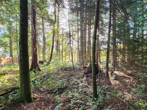 Lot 5 Inverness Rd, North Saanich, BC 