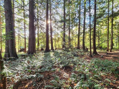 Lot 5 Inverness Rd, North Saanich, BC 