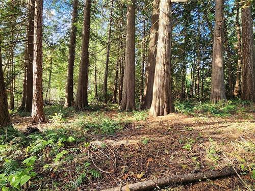 Lot 5 Inverness Rd, North Saanich, BC 