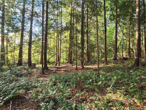 Lot 5 Inverness Rd, North Saanich, BC 