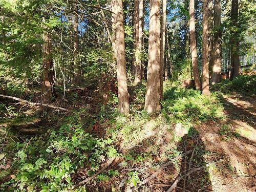 Lot 5 Inverness Rd, North Saanich, BC 