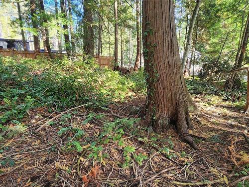 Lot 5 Inverness Rd, North Saanich, BC 