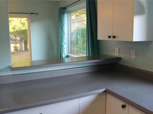 230A Grants Lake Rd, Lake Cowichan, BC - Indoor Photo Showing Kitchen