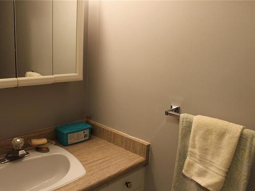 230A Grants Lake Rd, Lake Cowichan, BC - Indoor Photo Showing Bathroom