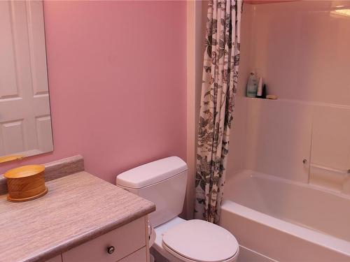 230A Grants Lake Rd, Lake Cowichan, BC - Indoor Photo Showing Bathroom