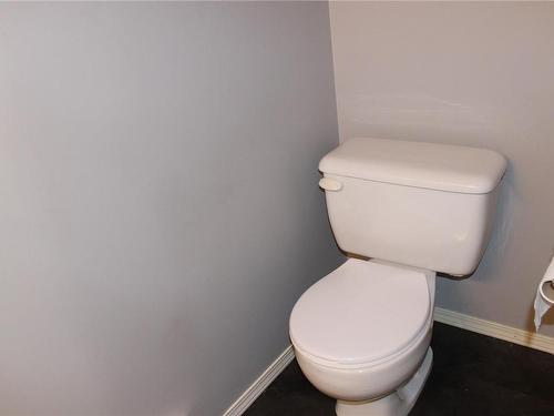 230A Grants Lake Rd, Lake Cowichan, BC - Indoor Photo Showing Bathroom