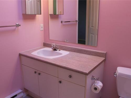 230A Grants Lake Rd, Lake Cowichan, BC - Indoor Photo Showing Bathroom