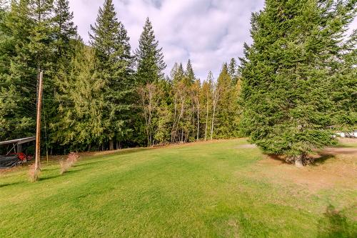 738 Bolton Road, Tappen, BC - Outdoor