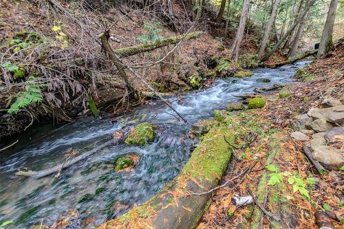 738 Bolton Road, Tappen, BC - Outdoor With View