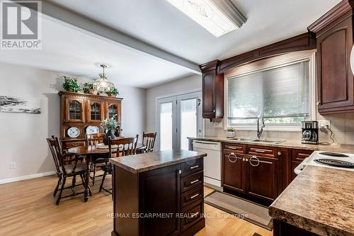 48 Tunbridge Crescent, Hamilton, ON - Indoor Photo Showing Kitchen With Double Sink