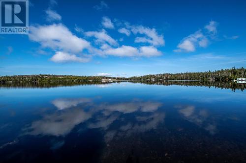 223 Olivers Pond Road, Portugal Cove-St. Philips, NL - Outdoor With Body Of Water With View