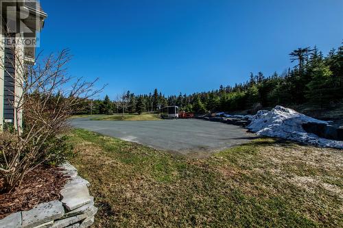 223 Olivers Pond Road, Portugal Cove-St. Philips, NL - Outdoor With View