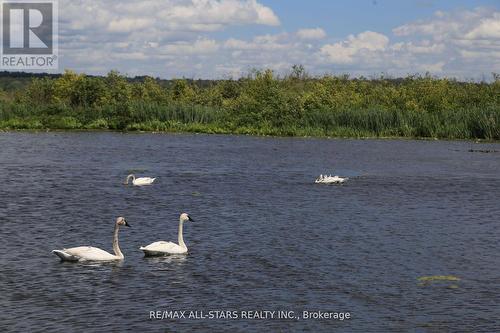 122 Fenelon Drive, Kawartha Lakes (Cameron), ON - Outdoor With Body Of Water With View