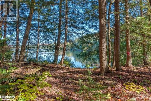 pathway to waterfront, old picnic table from when the owners camped here - 1031 Carl Fisher Drive, Huntsville, ON 