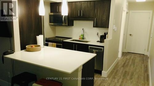 104 Devonshire Avenue, London, ON - Indoor Photo Showing Kitchen