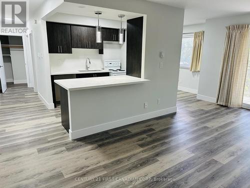 104 Devonshire Avenue, London, ON - Indoor Photo Showing Kitchen