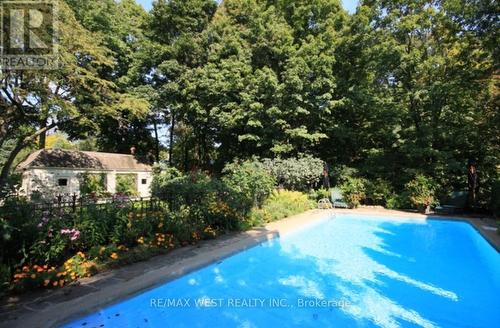 19 Hedgewood Road, Toronto, ON - Outdoor With In Ground Pool With Backyard