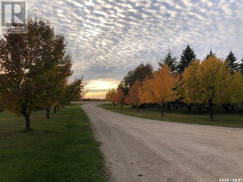 Rae'S N Sons Acreage, Orkney Rm No. 244, SK - Outdoor With View