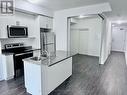 429 - 450 Dundas Street E, Hamilton, ON  - Indoor Photo Showing Kitchen With Stainless Steel Kitchen With Double Sink 