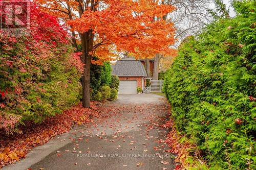 43 Mont Street, Guelph, ON - Outdoor