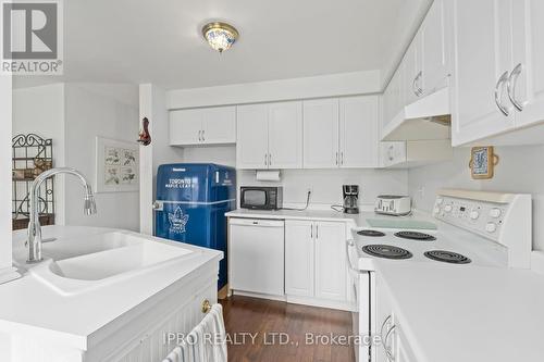 102 James Young Drive, Halton Hills, ON - Indoor Photo Showing Kitchen With Double Sink