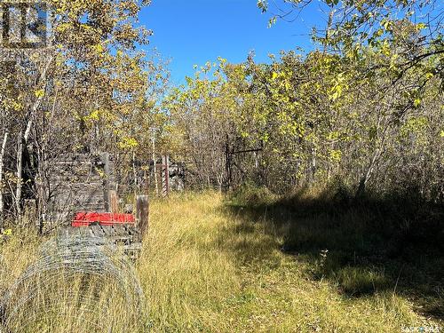 Placsko Acerage 6.32 Acre Pt Sw-8-43-18-2, Star City Rm No. 428, SK - Outdoor With View