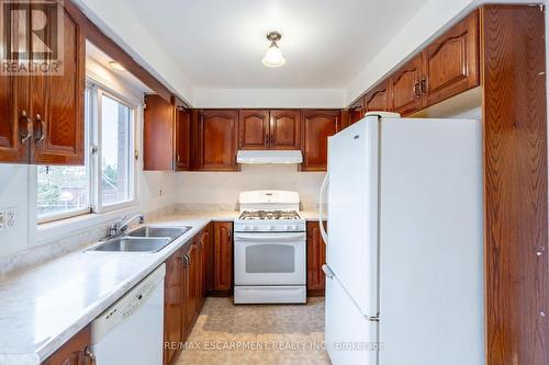 15 Ashcroft Drive, Hamilton, ON - Indoor Photo Showing Kitchen With Double Sink