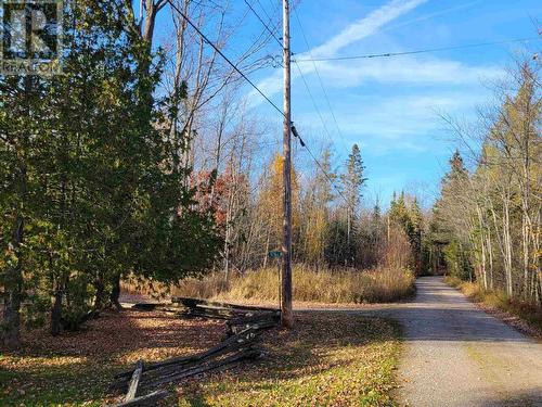 87B Blue Nose Dr, Laird Township, ON - Outdoor With View