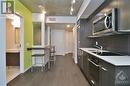 105 Champagne Avenue S Unit#1209, Ottawa, ON  - Indoor Photo Showing Kitchen With Double Sink With Upgraded Kitchen 