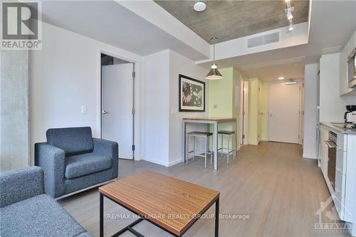 902 - 105 Champagne Avenue S, Ottawa, ON - Indoor Photo Showing Living Room