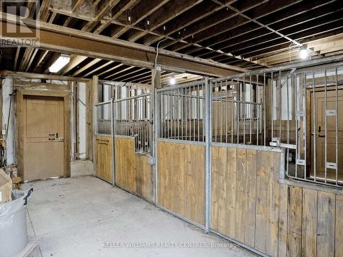 387129 20 Sideroad, Mono, ON - Indoor Photo Showing Basement