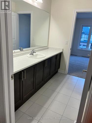 268 Broadacre Drive, Kitchener, ON - Indoor Photo Showing Bathroom