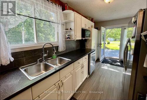 42 Cedar Bay Road, Kawartha Lakes, ON - Indoor Photo Showing Kitchen With Double Sink