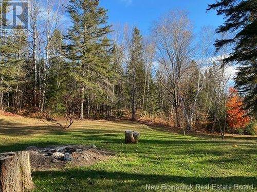 456 De L'Église Road, Lac Baker, NB - Outdoor With View