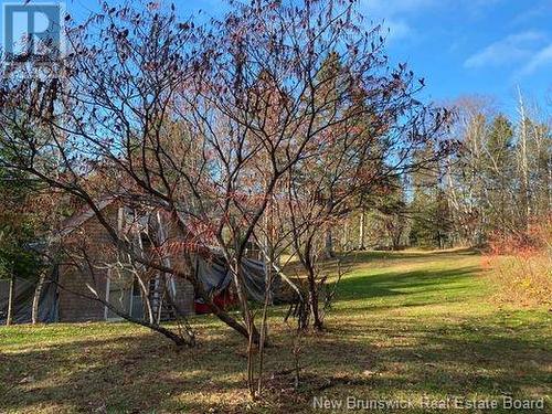 456 De L'Église Road, Lac Baker, NB - Outdoor With View