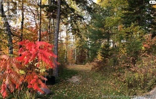 456 De L'Église Road, Lac Baker, NB - Outdoor