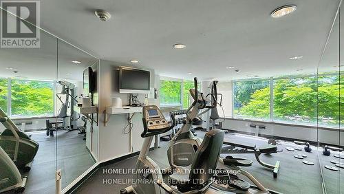 Ph311 - 18 Valley Woods Road, Toronto, ON - Indoor Photo Showing Gym Room