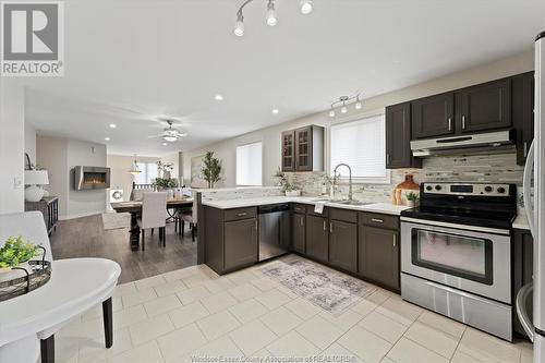 11819 Boulder Crescent, Windsor, ON - Indoor Photo Showing Kitchen With Upgraded Kitchen