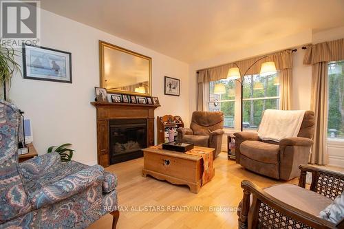 393 Elmwood Court, Oshawa (Samac), ON - Indoor Photo Showing Living Room With Fireplace